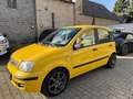 Fiat Panda 1.2*TÜV NEU*ZAHNRIEMEN NEU*1.HAND*KLIMA - thumbnail 8