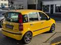 Fiat Panda 1.2*TÜV NEU*ZAHNRIEMEN NEU*1.HAND*KLIMA - thumbnail 5