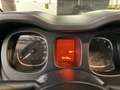 Fiat Panda 1.2 Lounge UNICO PROPRIETARIO! Blu/Azzurro - thumbnail 14