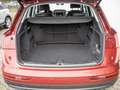 Audi Q5 40TDI quattro MATRIX NAVI STANDHZ VIRTUAL Rouge - thumbnail 19