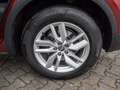 Audi Q5 40 TDI quattro MATRIX NAVI STANDHZ VIRTUAL Rot - thumbnail 6