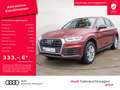Audi Q5 40TDI quattro MATRIX NAVI STANDHZ VIRTUAL Rot - thumbnail 1