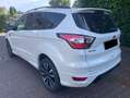 Ford Kuga ST-Line 1,5 EcoBoost; Allwetterr.,Winterp., Navi, Weiß - thumbnail 3