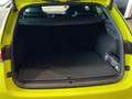 Skoda Octavia 2.0 TDI RS PLUS Navi Sthz Matrix ACC AHK Verde - thumbnail 29