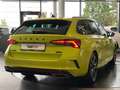 Skoda Octavia 2.0 TDI RS PLUS Navi Sthz Matrix ACC AHK Verde - thumbnail 3