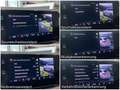 Skoda Octavia 2.0 TDI RS PLUS Navi Sthz Matrix ACC AHK Verde - thumbnail 17