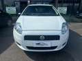 Fiat Grande Punto Grande Punto NEOPATENTATI 5p 1.4 Active 77cv Blanc - thumbnail 2