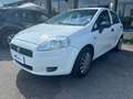 Fiat Grande Punto Grande Punto NEOPATENTATI 5p 1.4 Active 77cv Blanc - thumbnail 3