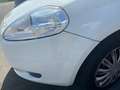 Fiat Grande Punto Grande Punto NEOPATENTATI 5p 1.4 Active 77cv Blanc - thumbnail 15