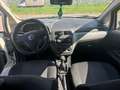 Fiat Grande Punto Grande Punto NEOPATENTATI 5p 1.4 Active 77cv Blanc - thumbnail 9