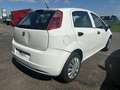 Fiat Grande Punto Grande Punto NEOPATENTATI 5p 1.4 Active 77cv Blanc - thumbnail 6
