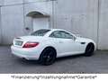 Mercedes-Benz SLK 200 *Automatik*ILS*AirScarf*Leder*Navi* Blanc - thumbnail 16