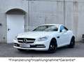 Mercedes-Benz SLK 200 *Automatik*ILS*AirScarf*Leder*Navi* Blanc - thumbnail 1