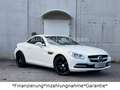 Mercedes-Benz SLK 200 *Automatik*ILS*AirScarf*Leder*Navi* Blanc - thumbnail 13