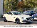 Mercedes-Benz SLK 200 *Automatik*ILS*AirScarf*Leder*Navi* Blanc - thumbnail 12