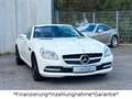 Mercedes-Benz SLK 200 *Automatik*ILS*AirScarf*Leder*Navi* Blanc - thumbnail 6