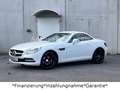 Mercedes-Benz SLK 200 *Automatik*ILS*AirScarf*Leder*Navi* Blanc - thumbnail 9