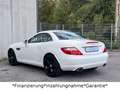 Mercedes-Benz SLK 200 *Automatik*ILS*AirScarf*Leder*Navi* Blanc - thumbnail 15