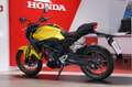 Honda CB 300R Amarillo - thumbnail 5