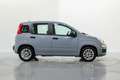 Fiat Panda 1.0 Gse Hybrid Gris - thumbnail 7