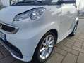 smart forTwo II 2007 1.0 mhd Urbanrunner 71cv SERVOSTERZO Bianco - thumbnail 15