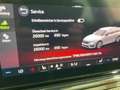 Skoda Octavia Combi RS First Edition 4x4 2.0TDI DSG Blanc - thumbnail 8