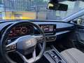 SEAT Leon 1.0 eTSI 110CV HYBRID DSG 5P - UNIPRO TAGLIANDATA Grigio - thumbnail 7