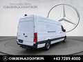 Mercedes-Benz Sprinter 315 CDI Kasten Hochdach Lang Stdhzg AHK Blanc - thumbnail 4