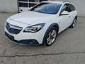 Opel Insignia Country Tourer 2,0 BiTurbo CDTI Ecotec Allrad Aut. Weiß - thumbnail 1