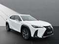 Lexus UX 250h 250h*F-SPORT-D.*1.HD*ALLW.REIF** 15J-GARANTIE Weiß - thumbnail 7