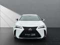 Lexus UX 250h 250h*F-SPORT-D.*1.HD*ALLW.REIF** 15J-GARANTIE Weiß - thumbnail 8
