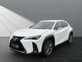 Lexus UX 250h 250h*F-SPORT-D.*1.HD*ALLW.REIF** 15J-GARANTIE Weiß - thumbnail 1