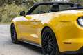 Ford Mustang Cabriolet V8 5.0 450 ch - 12 900km - 2018 - Immat  Yellow - thumbnail 13