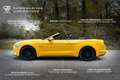 Ford Mustang Cabriolet V8 5.0 450 ch - 12 900km - 2018 - Immat  Yellow - thumbnail 3