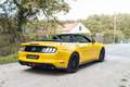 Ford Mustang Cabriolet V8 5.0 450 ch - 12 900km - 2018 - Immat  Jaune - thumbnail 4