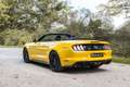 Ford Mustang Cabriolet V8 5.0 450 ch - 12 900km - 2018 - Immat  Jaune - thumbnail 6
