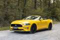 Ford Mustang Cabriolet V8 5.0 450 ch - 12 900km - 2018 - Immat  Jaune - thumbnail 8