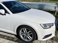 Audi A4 allroad A4 Allroad quattro 2,0 TDI quattro Allroad Weiß - thumbnail 3