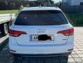 Audi A4 allroad A4 Allroad quattro 2,0 TDI quattro Allroad Weiß - thumbnail 4
