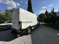Ford Transit Ford Transit 2.0 EcoBlue L2H2 290 Trend | Pickerl - thumbnail 5