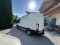 Ford Transit Ford Transit 2.0 EcoBlue L2H2 290 Trend | Pickerl - thumbnail 7