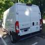 Fiat Ducato eDucato 122cv - 35 q.li - MH2 - 47 kWh Bianco - thumbnail 6