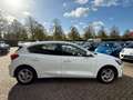 Ford Focus 1.0 EcoBoost Cool Airco Lmv Navi Cruise Wit - thumbnail 14