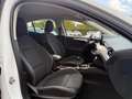 Ford Focus 1.0 EcoBoost Cool Airco Lmv Navi Cruise Wit - thumbnail 19
