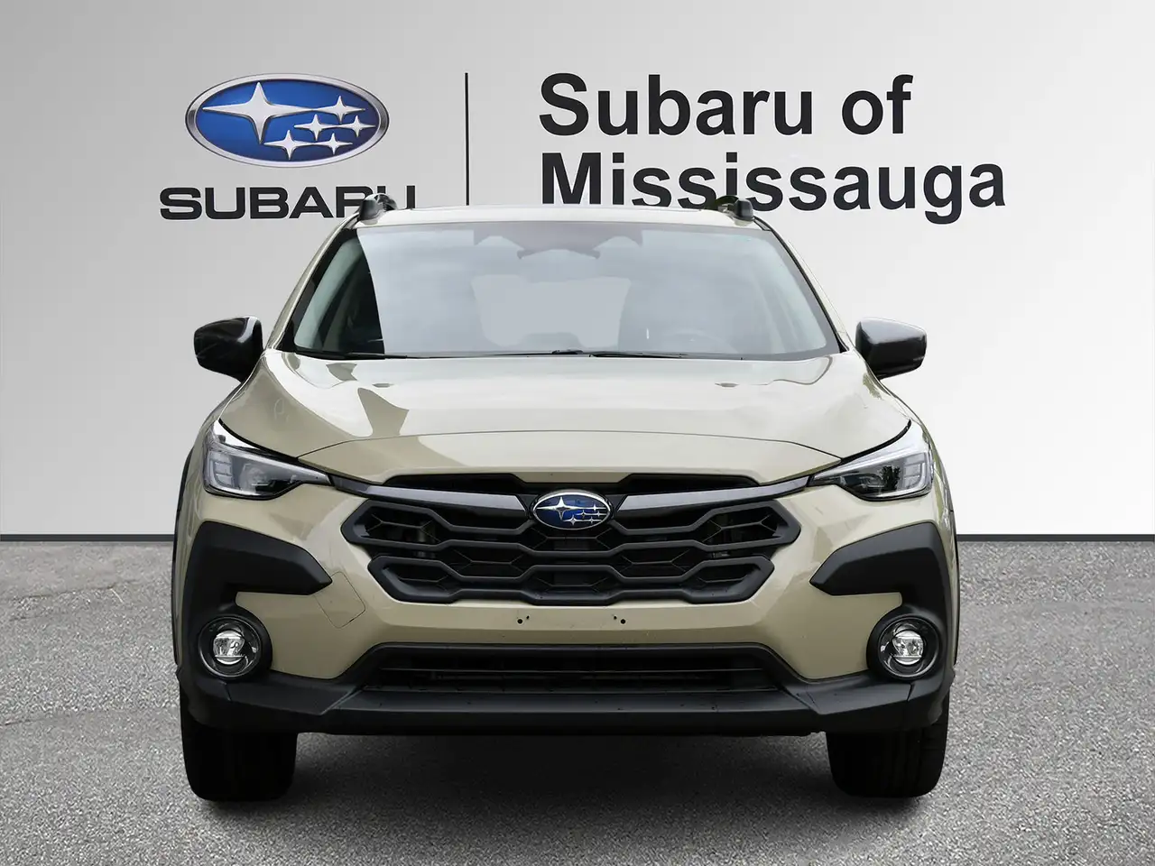 Subaru Crosstrek fotografie Subaru Crosstrek