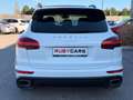 Porsche Cayenne 3.0 Diesel Platinum Edition Weiß - thumbnail 4