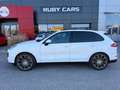 Porsche Cayenne 3.0 Diesel Platinum Edition Weiß - thumbnail 13