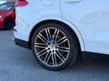 Porsche Cayenne 3.0 Diesel Platinum Edition Weiß - thumbnail 8