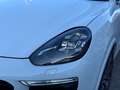 Porsche Cayenne 3.0 Diesel Platinum Edition Weiß - thumbnail 7