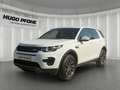 Land Rover Discovery Sport SE TD4 | Meridian Soundsystem | RFK Xenon SHZ Navi Wit - thumbnail 1